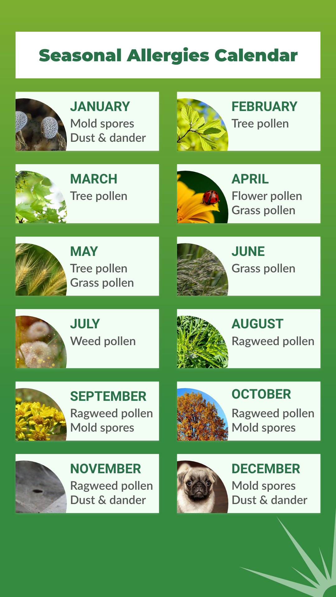 Hola Doctor Farmacia seasonal allergies calendar